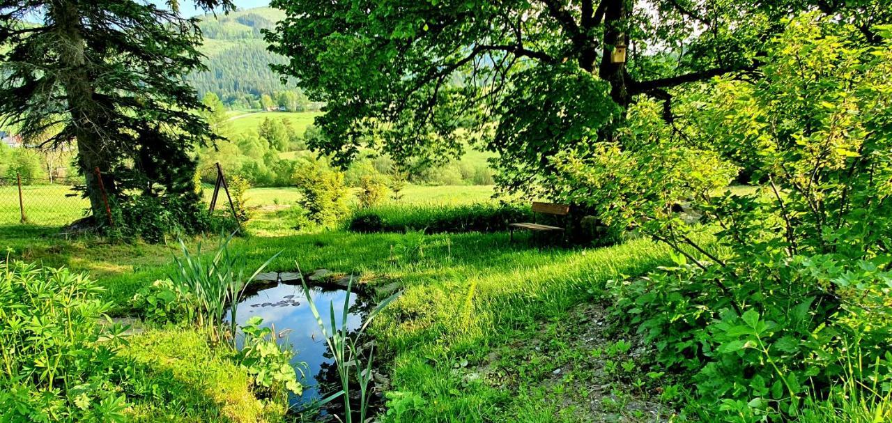Drevenica Borovianka Villa Velke Borove Exteriör bild